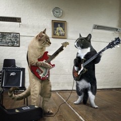 Jamming Cats ( ZODIAC Ultimate Beat Contest )