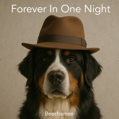 Forever In One Night