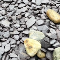 Stones