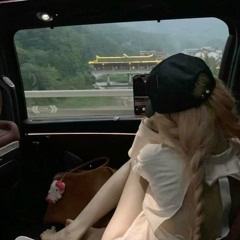 精卫 0.8x