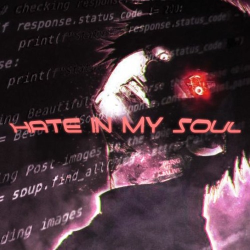 HATE IN MY SOUL