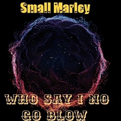 Small Marley - Who say I no go blow.mp3