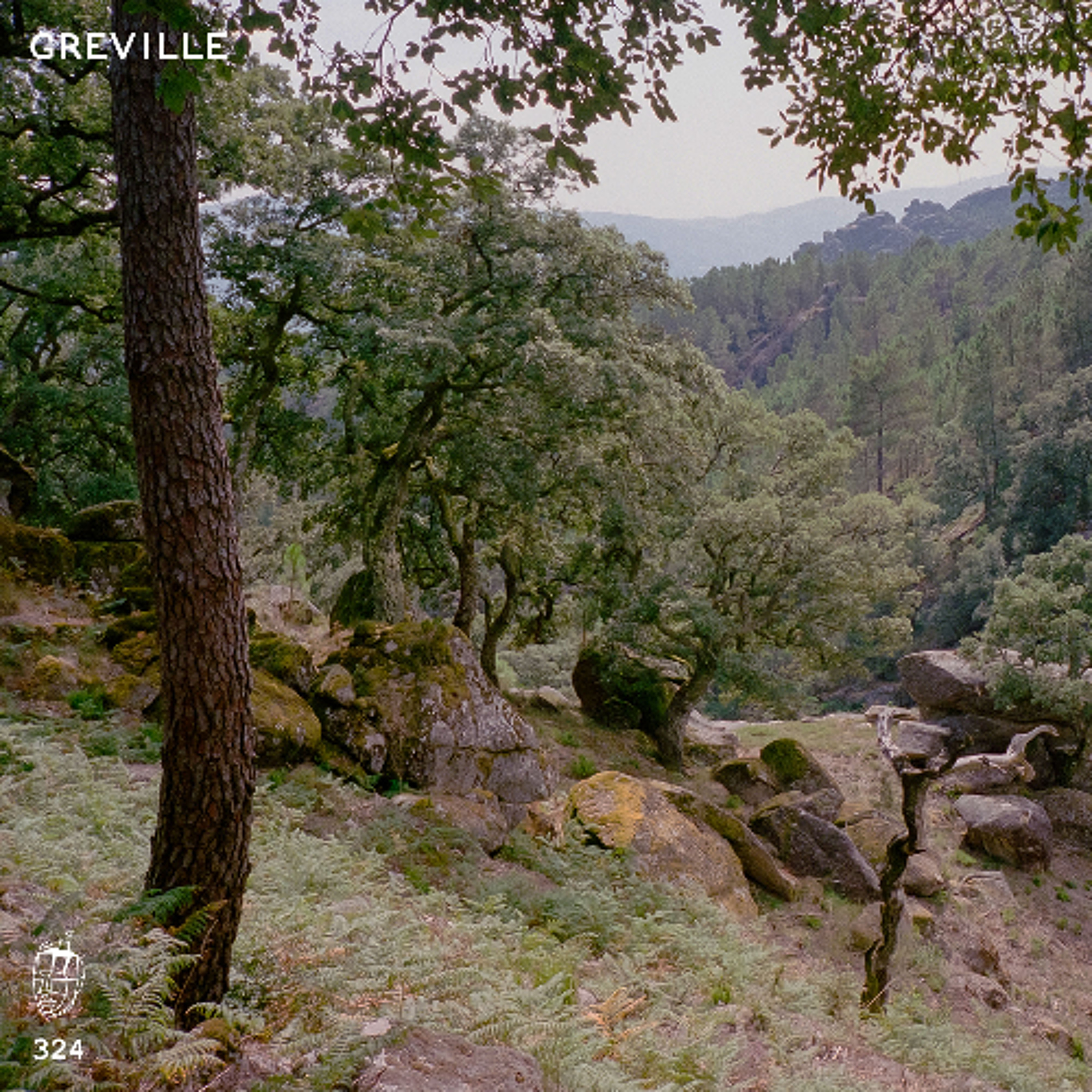 MDC.324 Greville