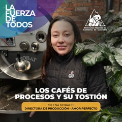 LOS CAFÉS DE PROCESOS Y SUS CLAVES EN LA TOSTIÓN