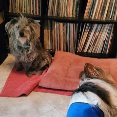 THE UNRELEASED SNIPPETS