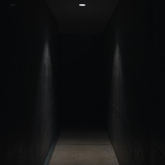 In the darkness
