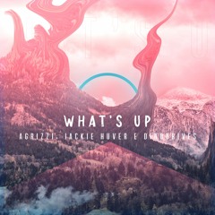 Whats Up - Agrizzi, Jackie HUVER E Dinodrives ( Radio Edit )