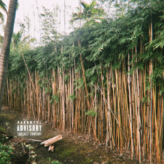 FOURTUNATE PROD. T$HXMO ft. NOTHIING