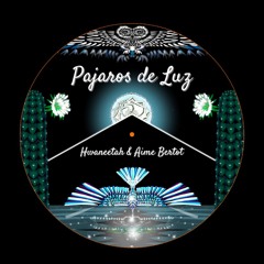 Cantando Con Mis Ancestros - Hwaneetah & Aime Bertot (Tomkinascious Remix)