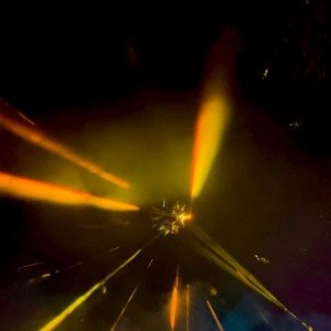 Tropical Disco Hustle