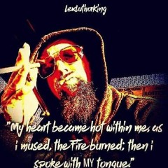 LexLuthorKing - LLK DangeRoom PSA.