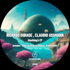 PREMIERE! Erwin Smith, Ricardo Dibiase - Whip (Original Mix) For Groovers