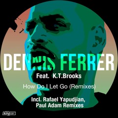 How Do I Let Go (Paul Adam Radio Edit) [feat. K.T. Brooks]