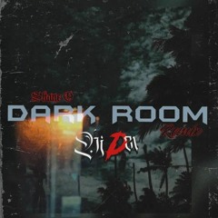Dark Room (D21 R3MIX).mp3