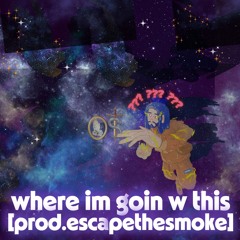 where im goin w this [prod.escapethesmoke]