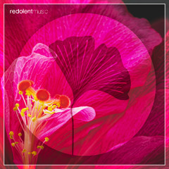 RDT078 La Danza Remixes