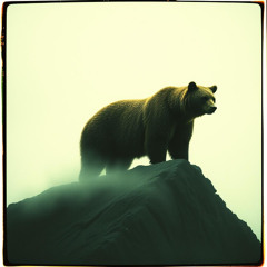 Der König der Bären