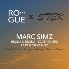 ROGUE x STEK | The Closing Party @ Strandbar Stek 14-04-23