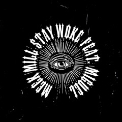 Stay Woke (feat. Miguel)