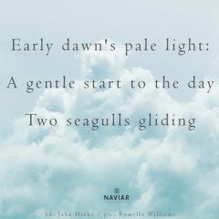 Seagulls [naviarhaiku517]