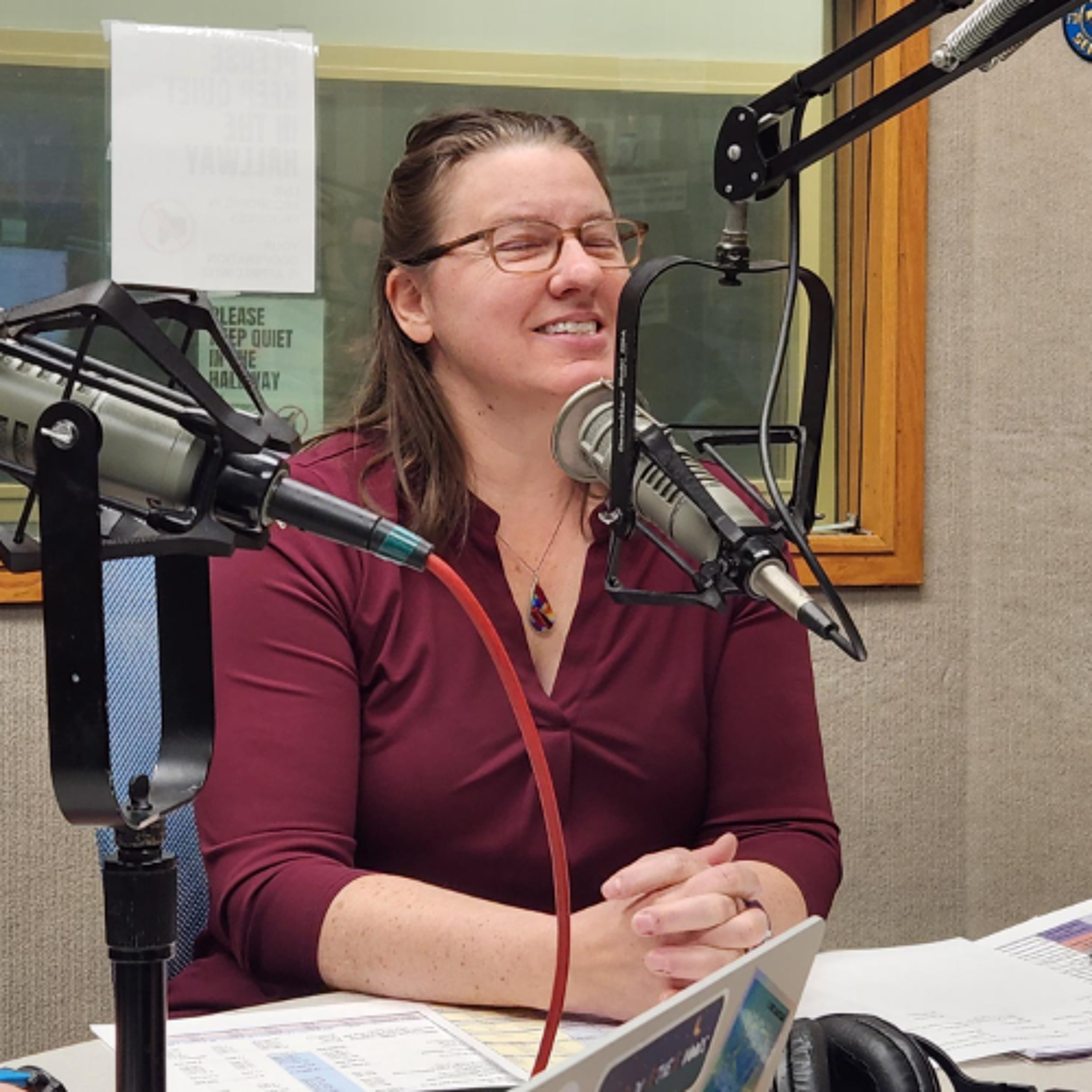 At-large Amherst Councilor Mandi Jo Hanneke: buy the numbers. episode artwork