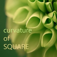 Curvature of Square