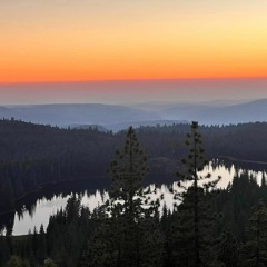 Following That Feeling