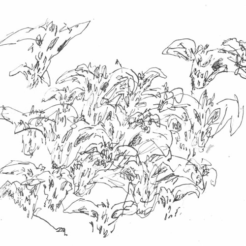 Susu Laroche / Flora Yin Wong - D001 EP (Clips)