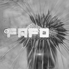FAFO