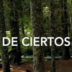 De ciertos perdones