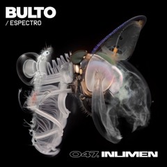BULTO / Espectro 047. INLIMEN