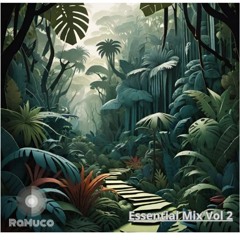 RaMuco Essential Mix Vol 2