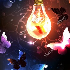 Butterflies Club Mix Sunlight Project