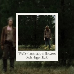 TWD - Look At The Flowers Scene (Rob Hilgen Edit) FREE DOWNLOAD