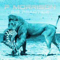 Psyph Morrison X Big Practice
