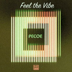 02 Pecoe - Disco Groove