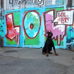 Mariohannacore - Modulation