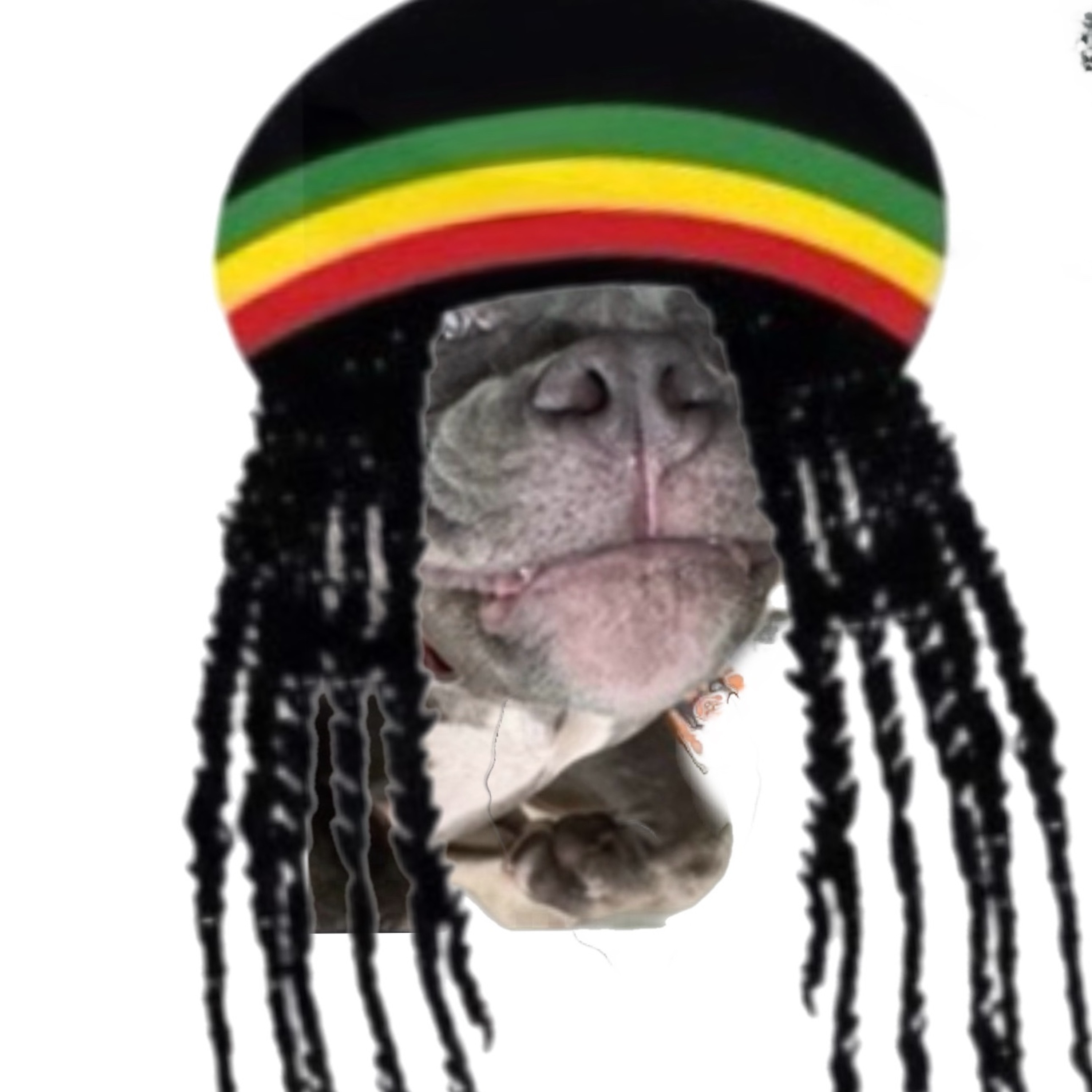 21 vs club o’rome ext