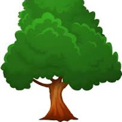 woke - #tree (boyykimthatkidright)