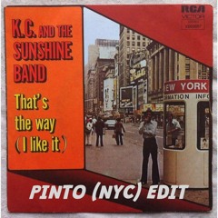 K.C and The Sunshine Band - That's The Way I Like It (Pinto (NYC) Edit)