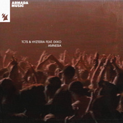 Amnesia (VIP Mix) [feat. Ekko]