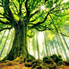 hd music migliori download di musica gratis 기악 베이스 (FREE DOWNLOAD)