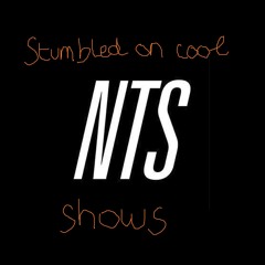 stumbled on some cool nts shows