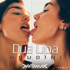 DUA LIPA - Houdini - David MAX Anthem Rmx