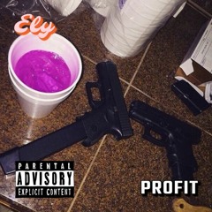 Ely - Profit