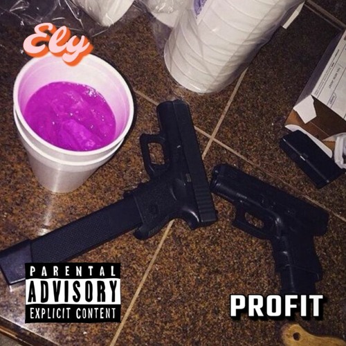 Ely - Profit
