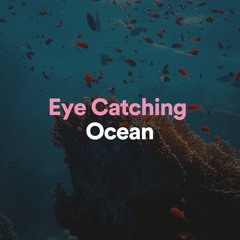 Eye Catching Ocean, Pt. 10