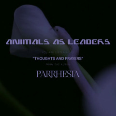 Animals as Leaders - "Thoughts and Prayers" [Slowed + Reverb]