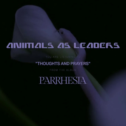 Animals as Leaders - "Thoughts and Prayers" [Slowed + Reverb]