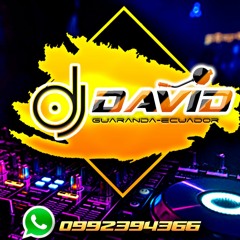 ANDY RIVERA - QUE RICO REPETIRLO - REMIX -DAVID DJ
